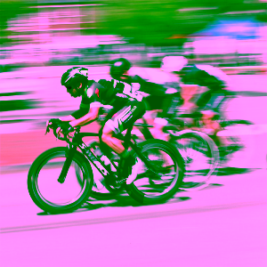 The Rocky Mountain Multisport Race Team The Rocky Mountain Multisport Race Team